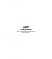 Remington Brass 300 WSM 100